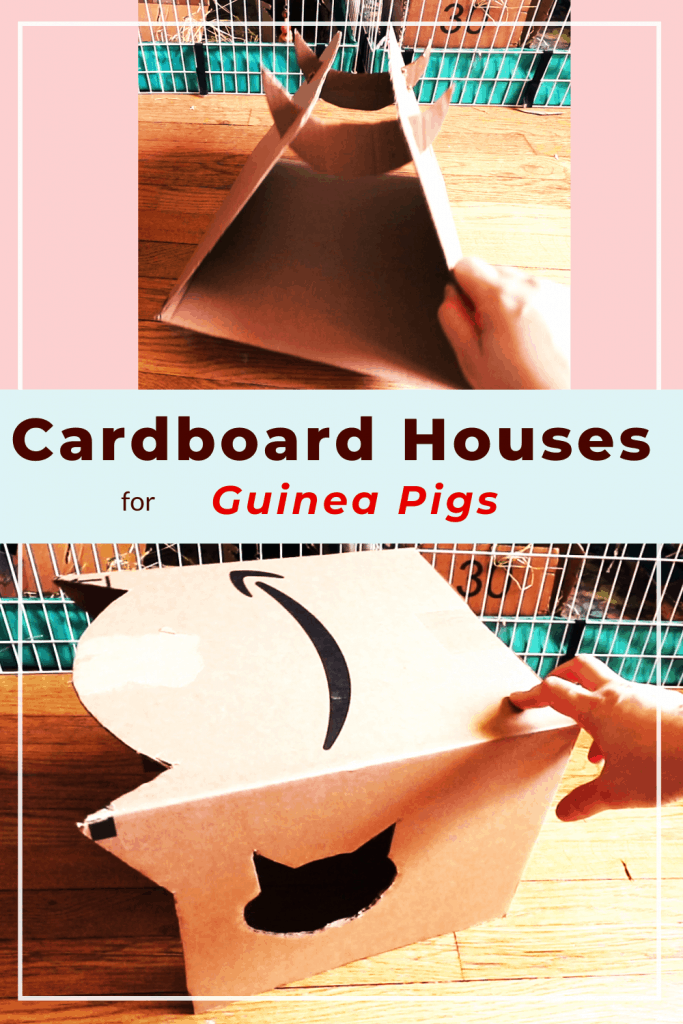 Cardboard house making for guinea pigs or other pets 