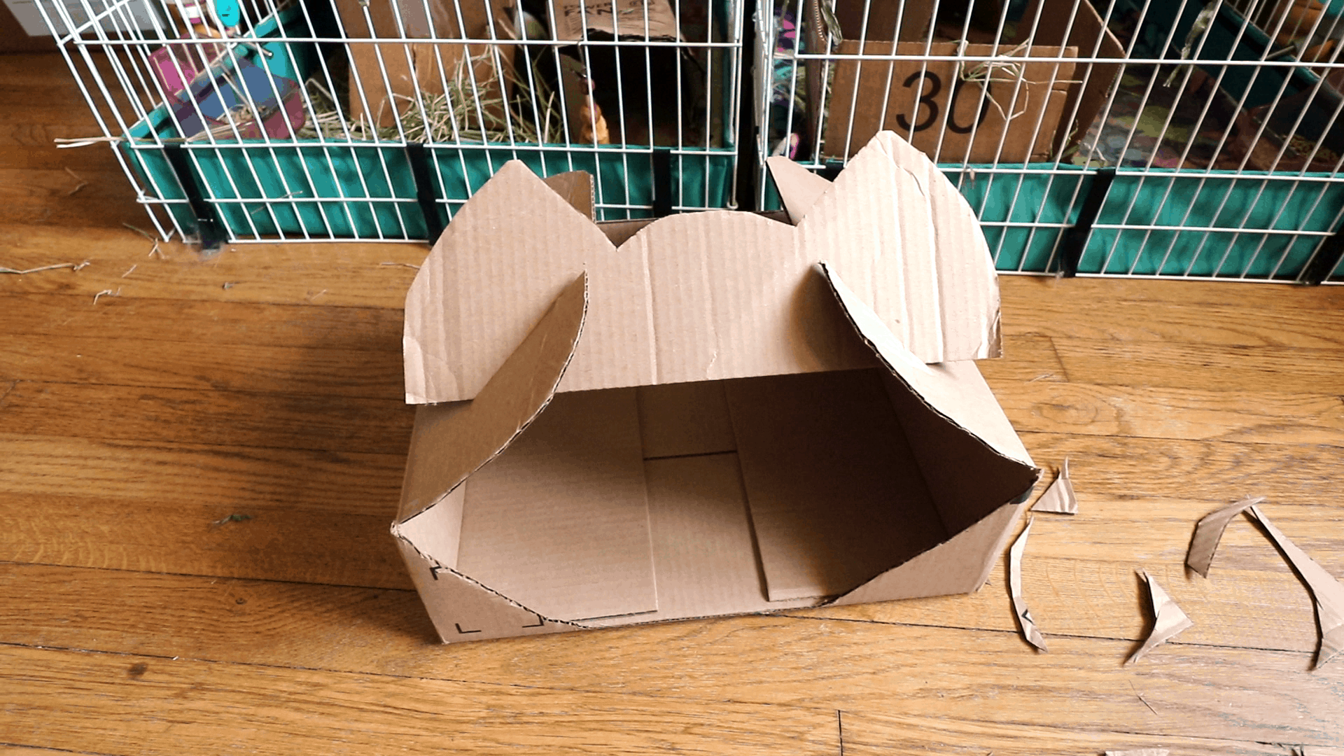 Cardboard house making for guinea pigs or other pets